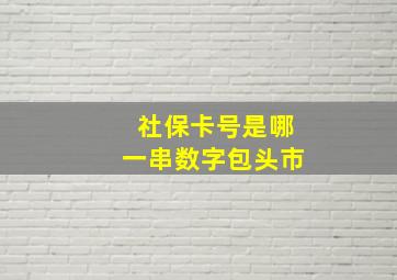 社保卡号是哪一串数字包头市