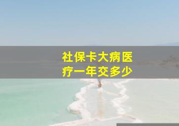 社保卡大病医疗一年交多少