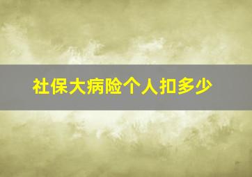 社保大病险个人扣多少