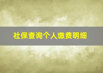 社保查询个人缴费明细