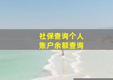 社保查询个人账户余额查询