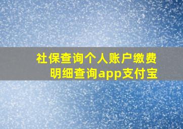 社保查询个人账户缴费明细查询app支付宝