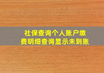 社保查询个人账户缴费明细查询显示未到账