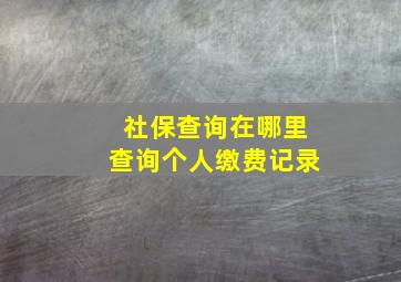 社保查询在哪里查询个人缴费记录