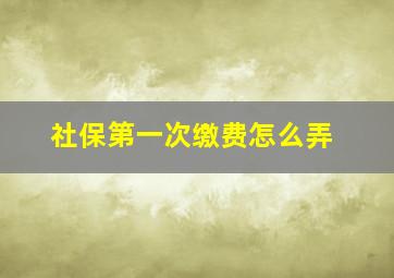 社保第一次缴费怎么弄