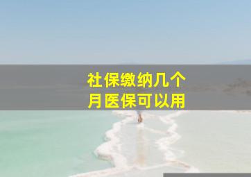 社保缴纳几个月医保可以用