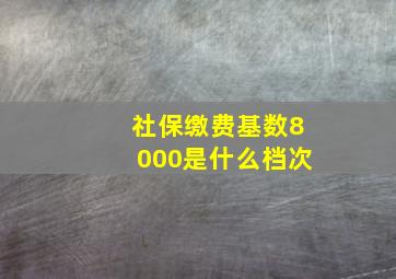 社保缴费基数8000是什么档次