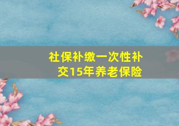 社保补缴一次性补交15年养老保险