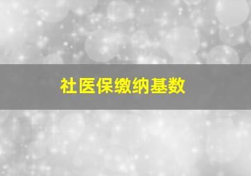 社医保缴纳基数