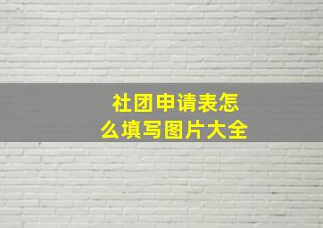 社团申请表怎么填写图片大全