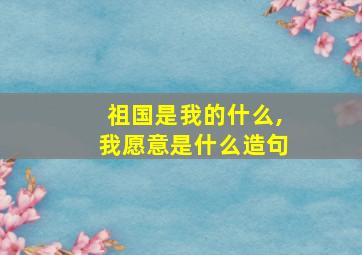 祖国是我的什么,我愿意是什么造句