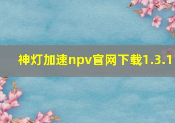 神灯加速npv官网下载1.3.1