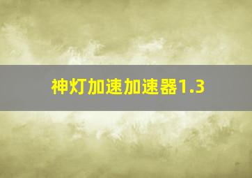 神灯加速加速器1.3