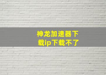 神龙加速器下载ip下载不了