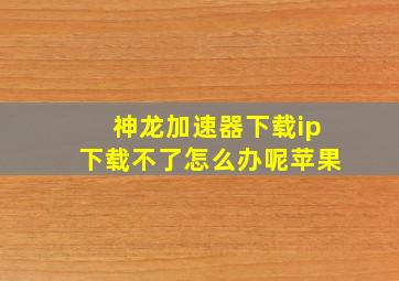 神龙加速器下载ip下载不了怎么办呢苹果