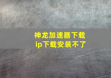 神龙加速器下载ip下载安装不了