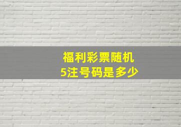 福利彩票随机5注号码是多少