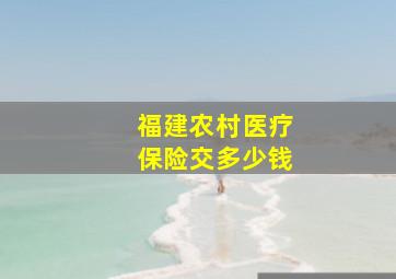 福建农村医疗保险交多少钱