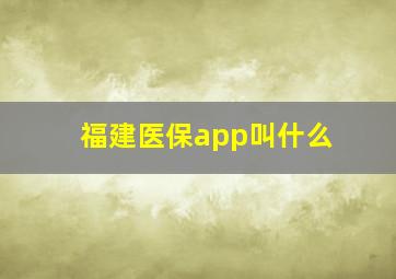 福建医保app叫什么