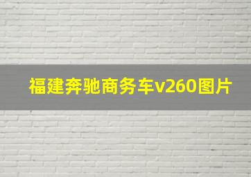 福建奔驰商务车v260图片