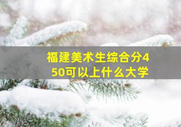 福建美术生综合分450可以上什么大学