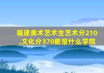 福建美术艺术生艺术分210,文化分370能报什么学院