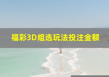 福彩3D组选玩法投注金额