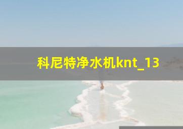 科尼特净水机knt_13