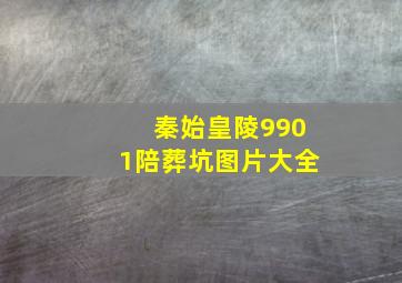 秦始皇陵9901陪葬坑图片大全