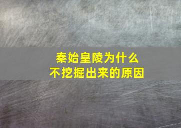 秦始皇陵为什么不挖掘出来的原因