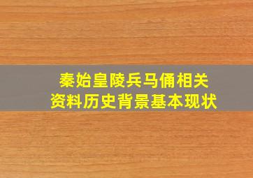 秦始皇陵兵马俑相关资料历史背景基本现状