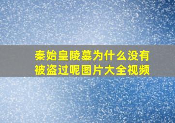 秦始皇陵墓为什么没有被盗过呢图片大全视频