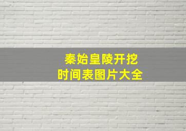 秦始皇陵开挖时间表图片大全