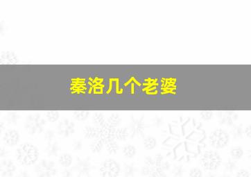 秦洛几个老婆