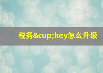 税务∪key怎么升级