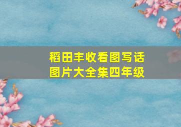 稻田丰收看图写话图片大全集四年级