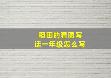 稻田的看图写话一年级怎么写