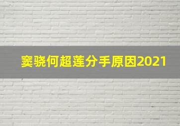 窦骁何超莲分手原因2021