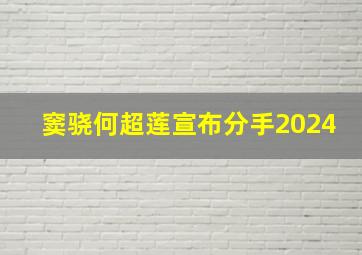 窦骁何超莲宣布分手2024