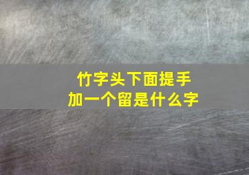 竹字头下面提手加一个留是什么字