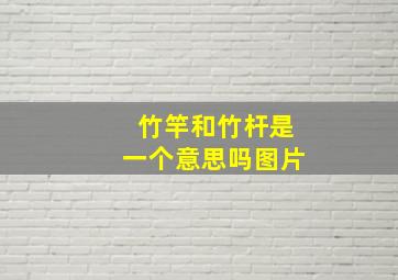 竹竿和竹杆是一个意思吗图片