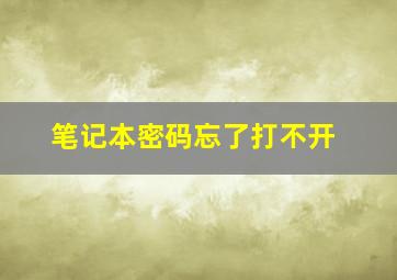 笔记本密码忘了打不开