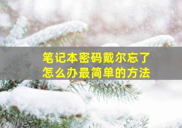 笔记本密码戴尔忘了怎么办最简单的方法