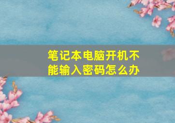 笔记本电脑开机不能输入密码怎么办