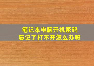 笔记本电脑开机密码忘记了打不开怎么办呀