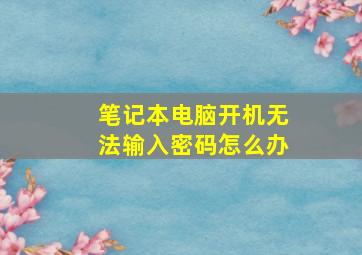 笔记本电脑开机无法输入密码怎么办