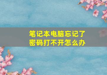 笔记本电脑忘记了密码打不开怎么办