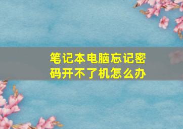 笔记本电脑忘记密码开不了机怎么办