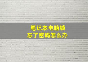 笔记本电脑锁忘了密码怎么办