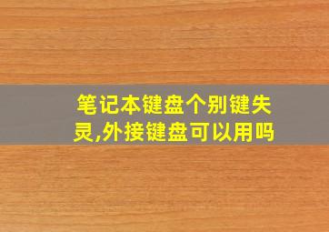 笔记本键盘个别键失灵,外接键盘可以用吗